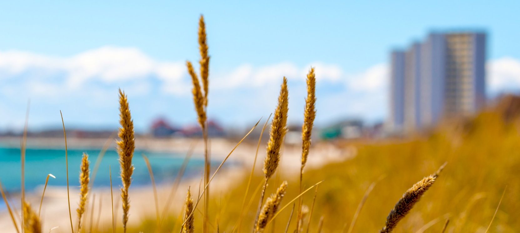 Blick auf den Strand am Südstrand von Burgtiefe auf Fehmarn