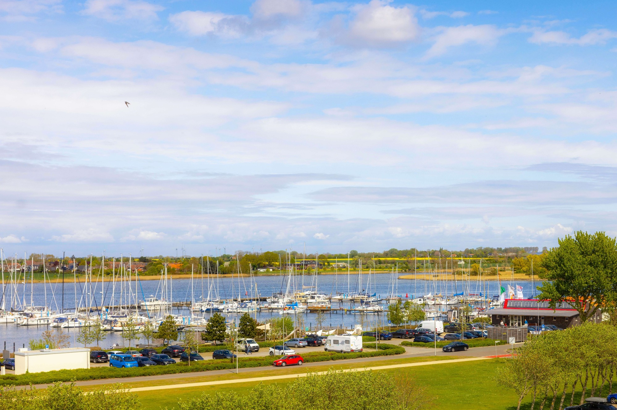 4-Sterne-Marina mit 600 Liegeplätzen Hafen mit Segelbooten, umliegenden Bäumen und blauem Himmel.