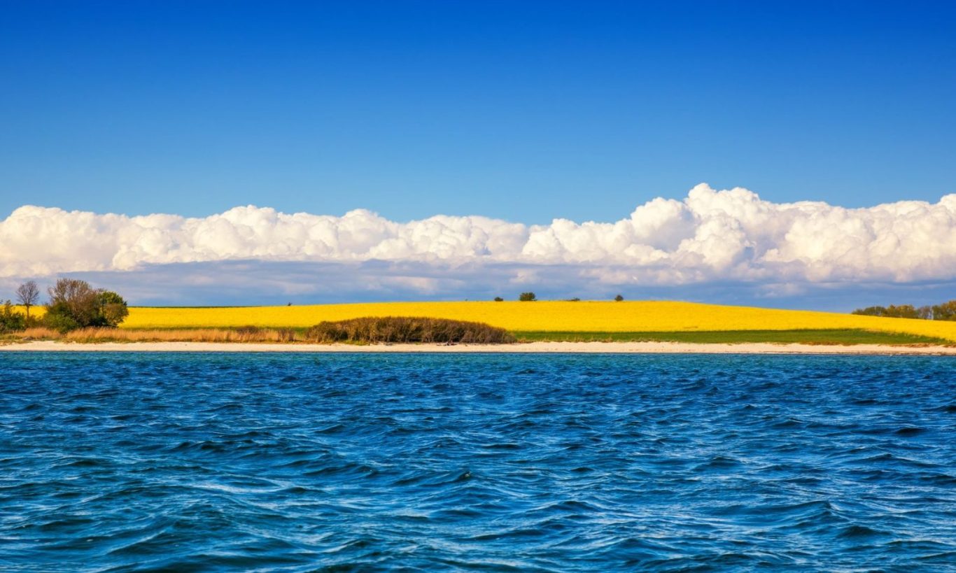 Die Farben der Insel Blick von der Ostsee auf die Insel Fehmarn mit Steilküste und Rapsfeld in Blüte